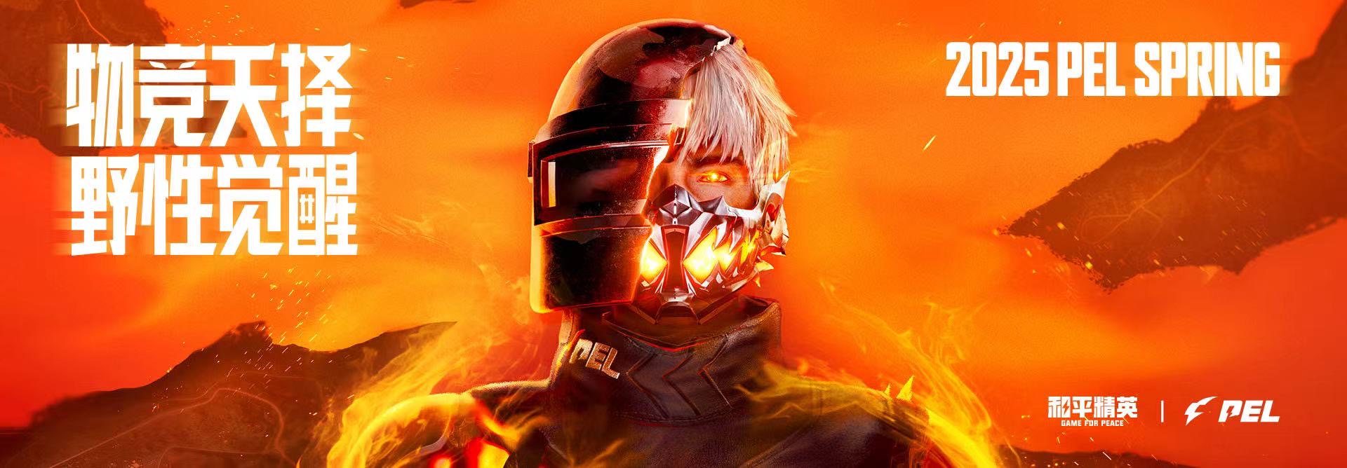 和平精英《魔法》辅助